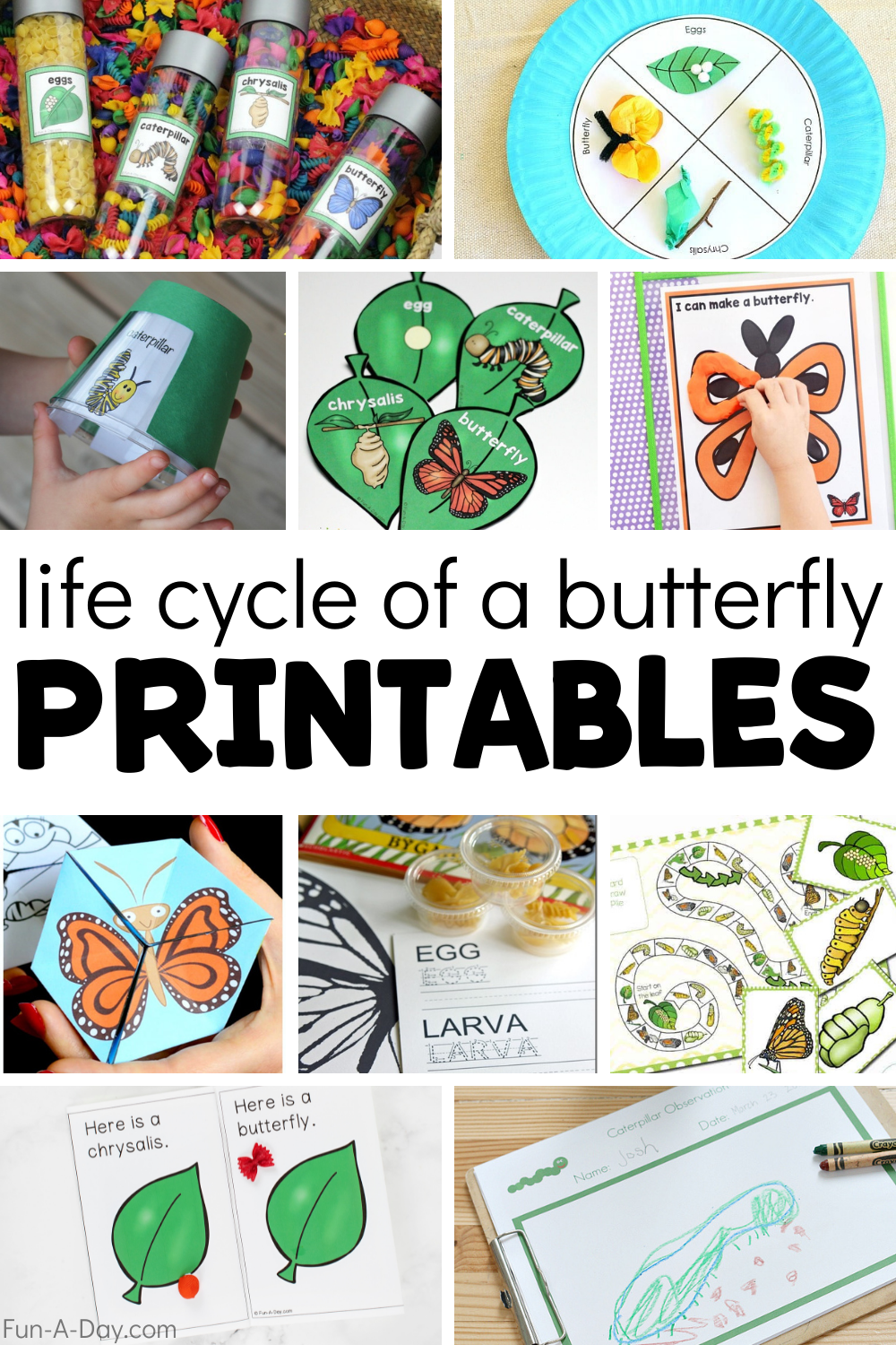 15 Free Life Cycle Of A Butterfly Printables Fun A Day 15 Free Life Cycle Of A Butterfly Printables Fun A Day