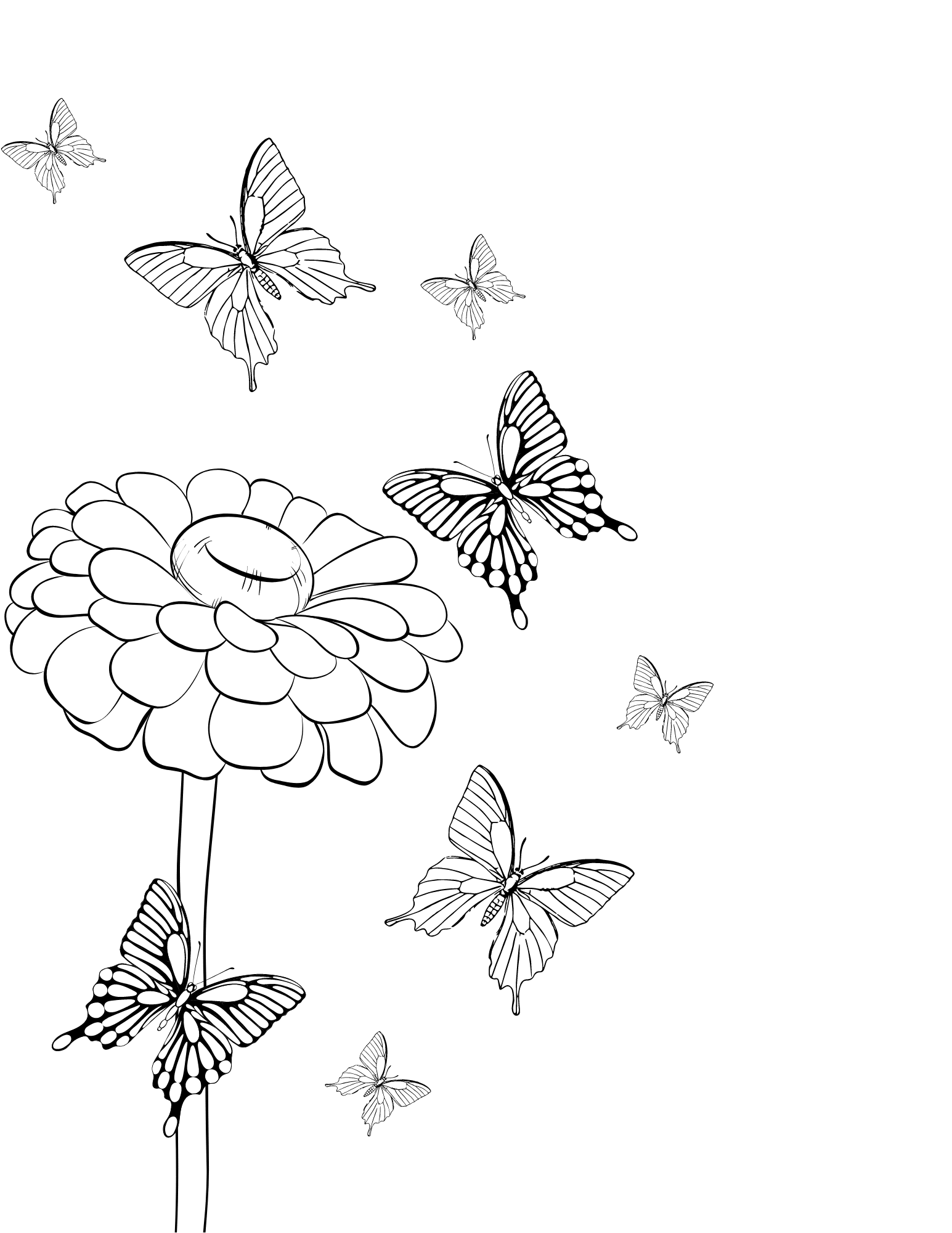 free colouring pages butterfly