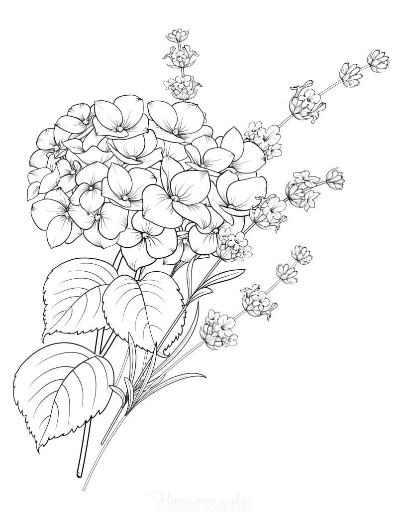 31 Printable Flower Coloring Pages For Adults Happier Human 31 Printable Flower Coloring Pages For Adults Happier Human