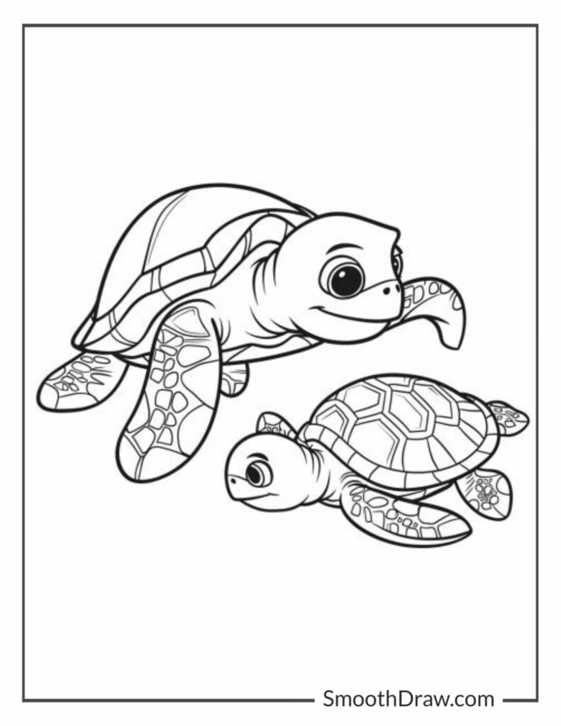 sea turtle color page sea turtle color page