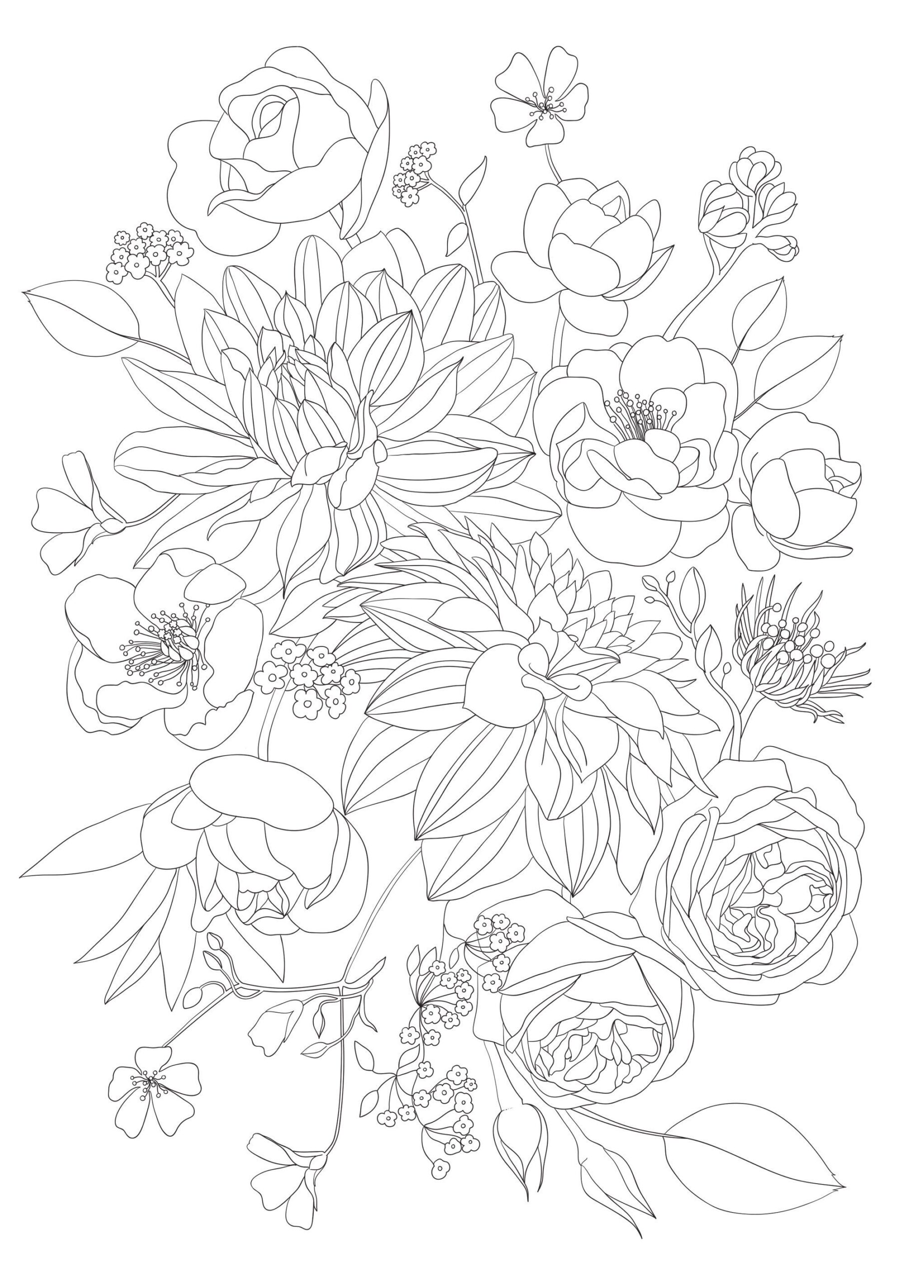 colouring sheets of flowers colouring sheets of flowers
