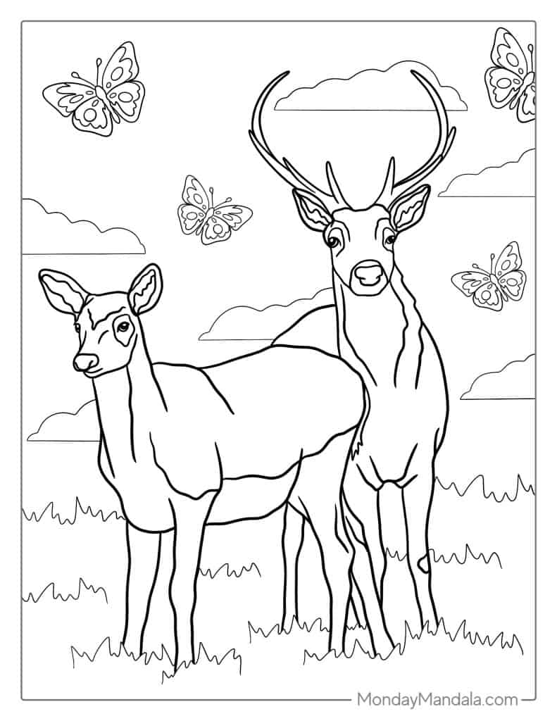 40 Deer Coloring Pages Free PDF Printables 