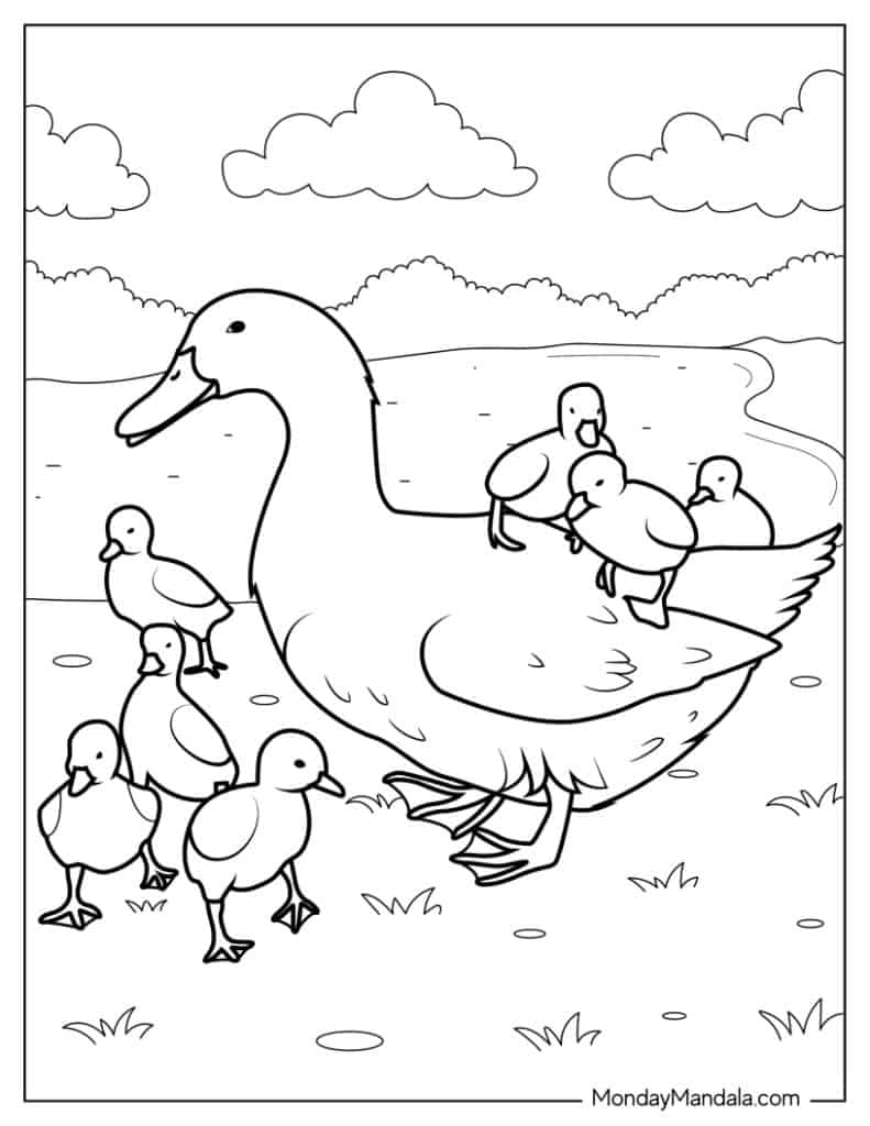 46 Cute Duck Coloring Pages Free PDF Printables 46 Cute Duck Coloring Pages Free PDF Printables