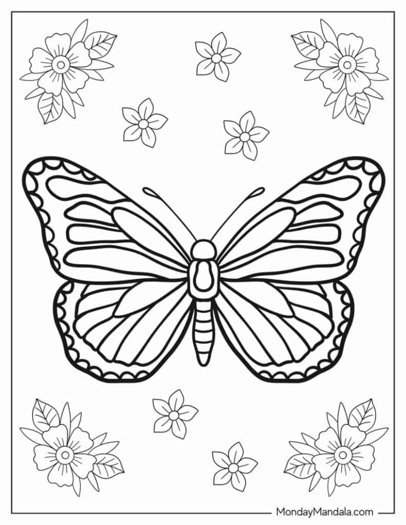 butterfly on a flower coloring pages