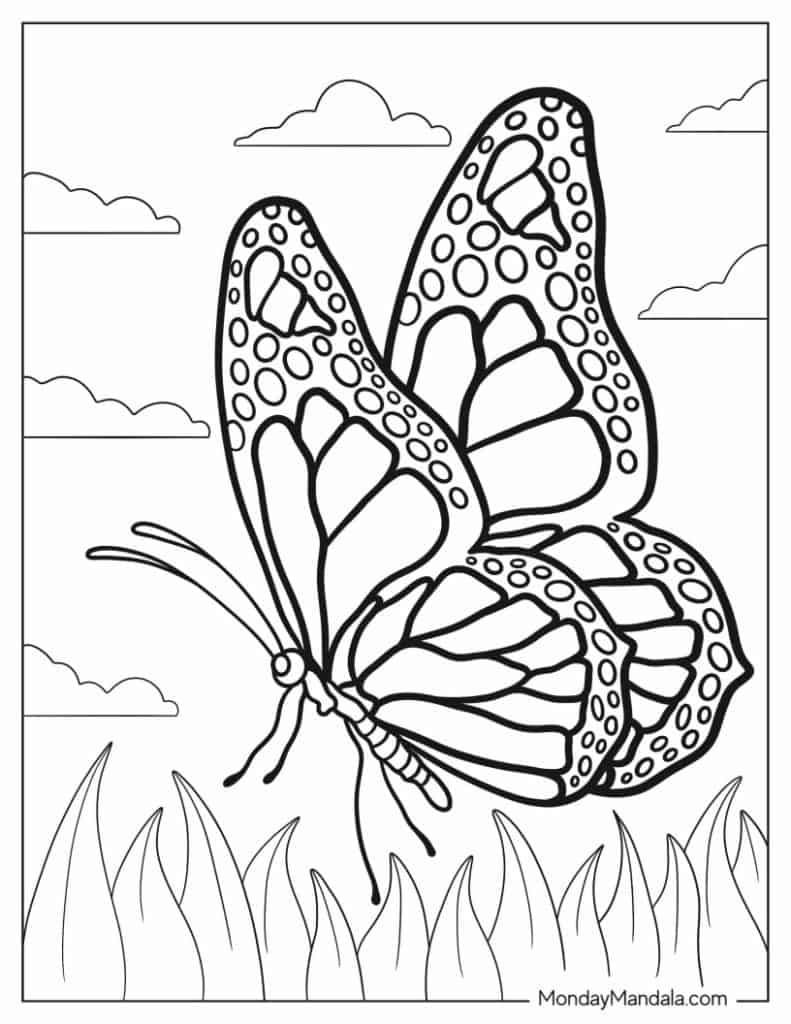 62 Butterfly Coloring Pages Free PDF Printables 62 Butterfly Coloring Pages Free PDF Printables