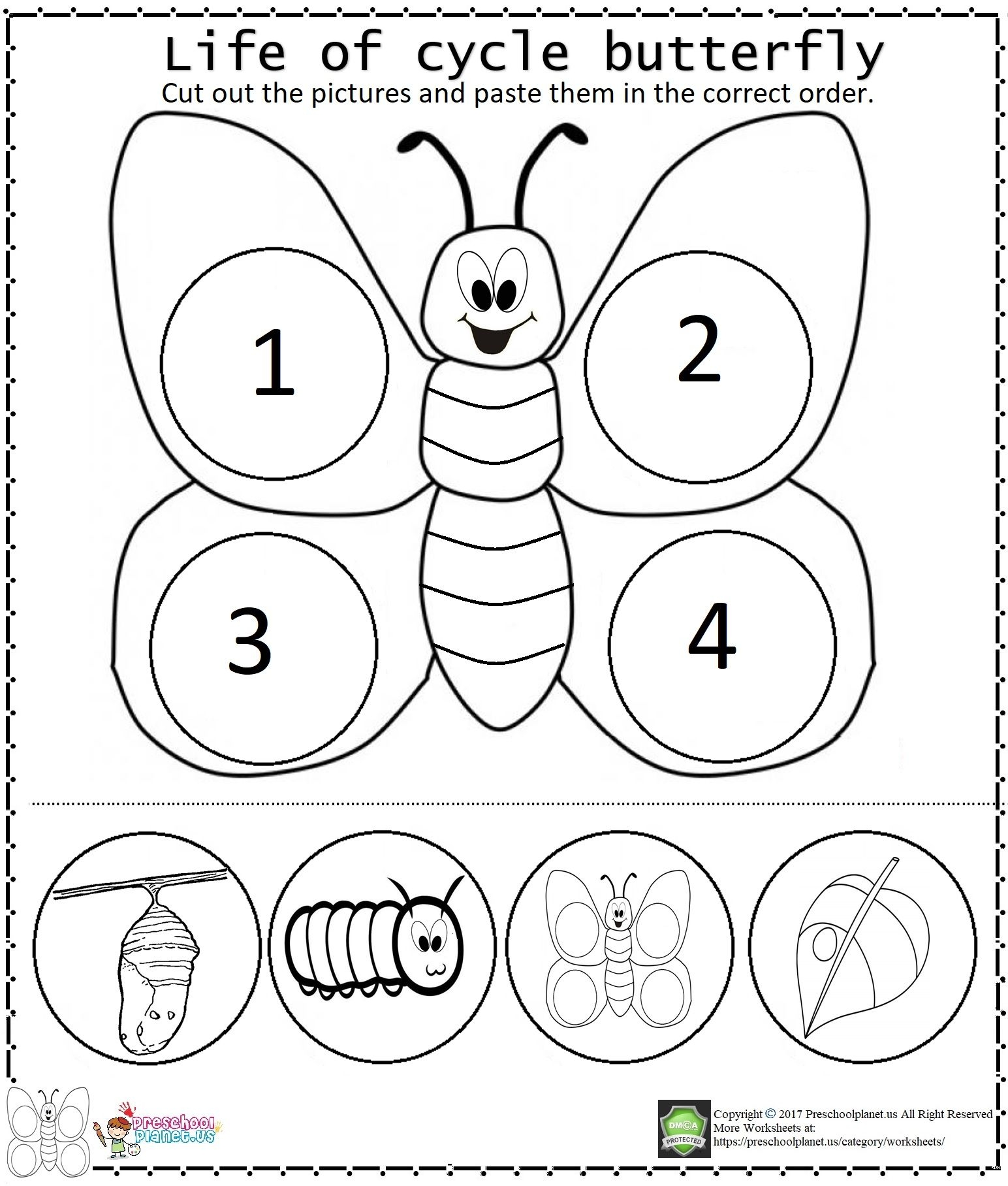 butterflies life cycle worksheet butterflies life cycle worksheet