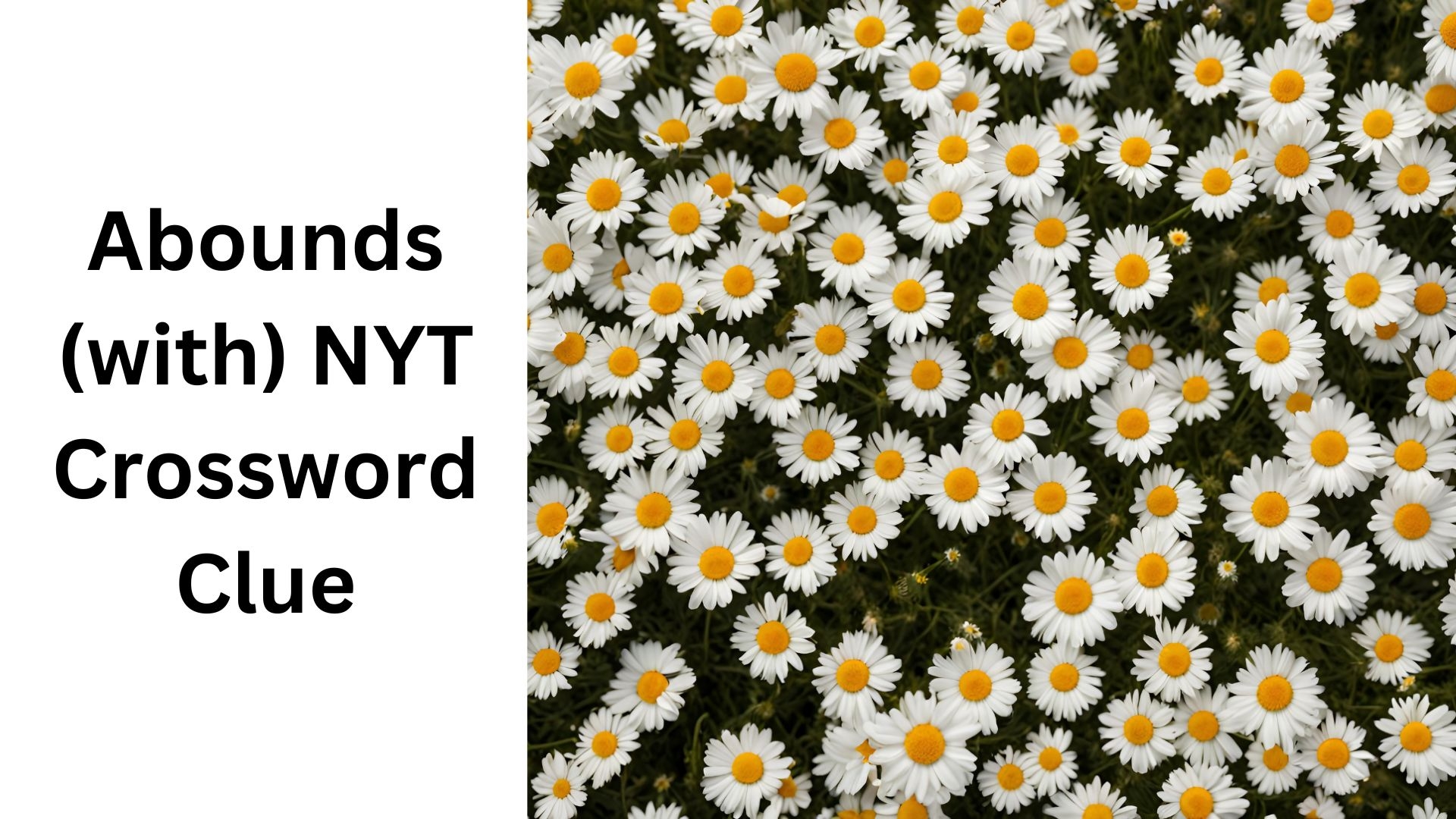 abound in crossword clue
