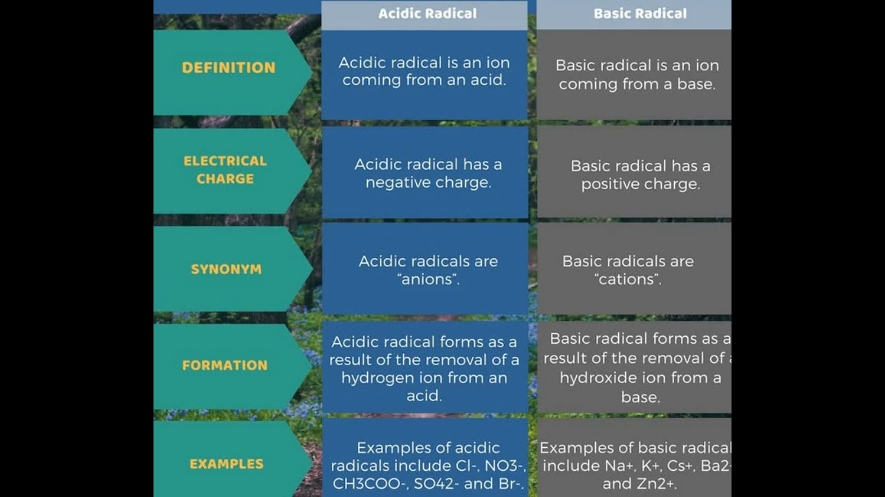 ACID RADICALS AND BASIC RADICALS YouTube