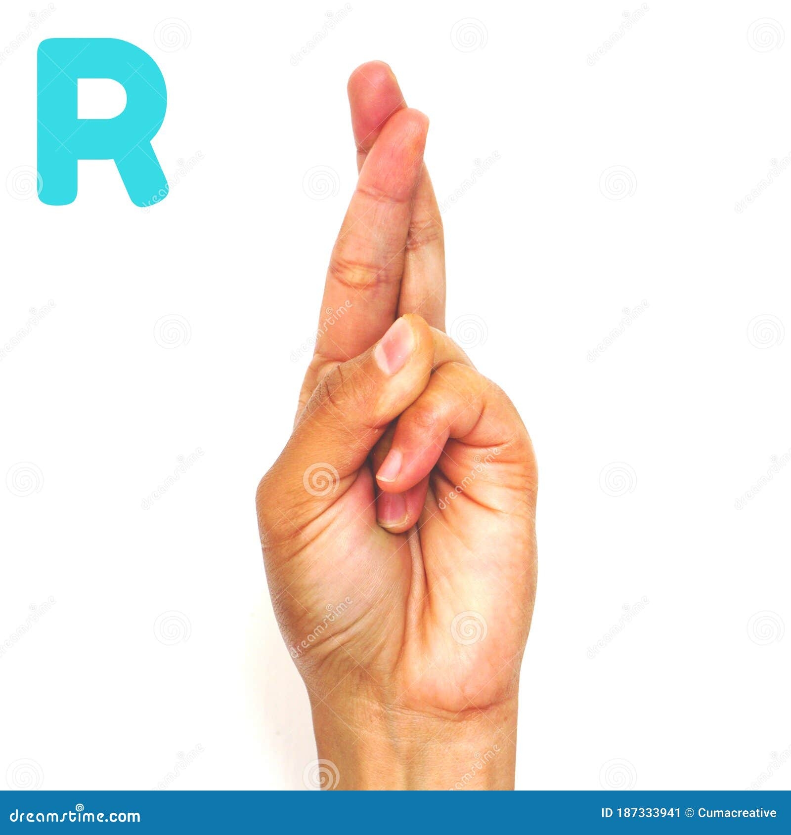 Alphabet Letter R In Sign Language For The Deaf ASL Hand Gesture Letter R On A White Stock Image Image Of Communicate American 187333941