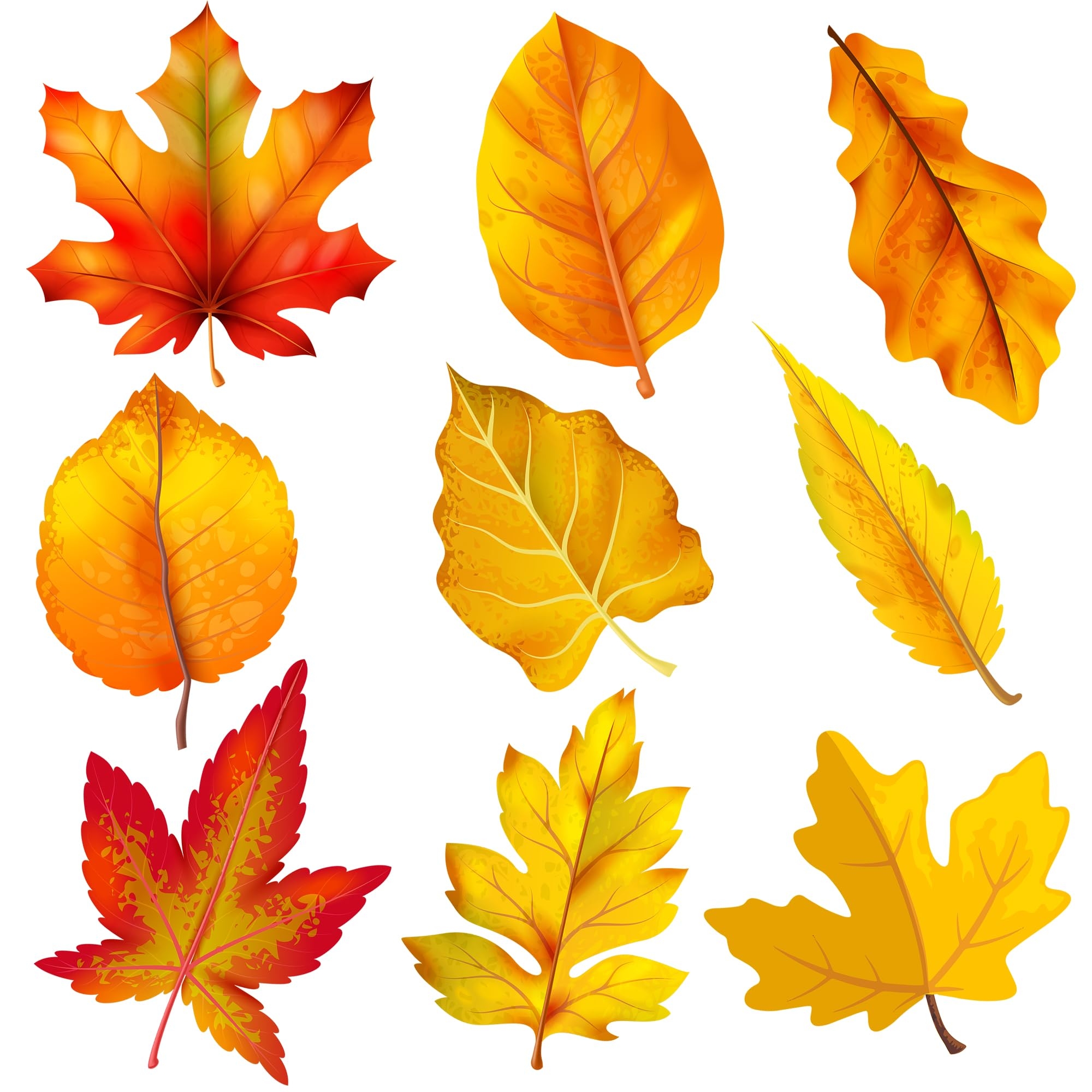 Amazon Lucleag 45 PCS Fall Maple Leaves Cutouts For Bulletin Board Decoration Autumn Leaves Cutouts Fall Leaf Cut Outs For Thanksgiving Fall Autumn Party School Classroom Bulletin Board Decorations Office Products