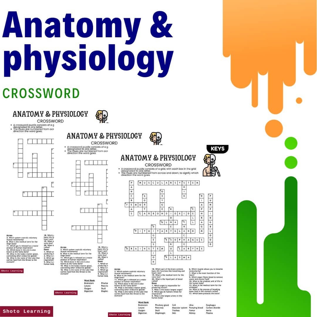Anatomy Physiology Crossword Worksheet 20 Clues Answer Key Anatomy Physiology Crossword Worksheet 20 Clues Answer Key