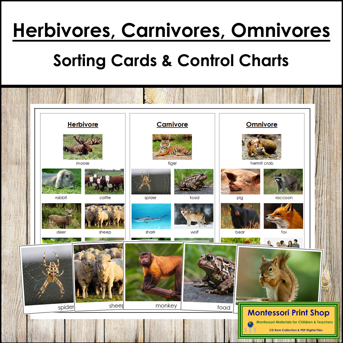 Animal Movement Swim Walk Fly Sorting Cards Control Chart Made By Teachers