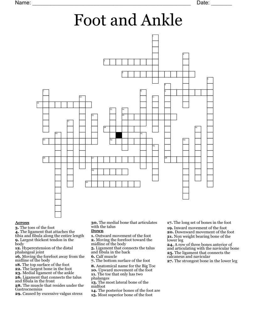 Ankle Crossword WordMint