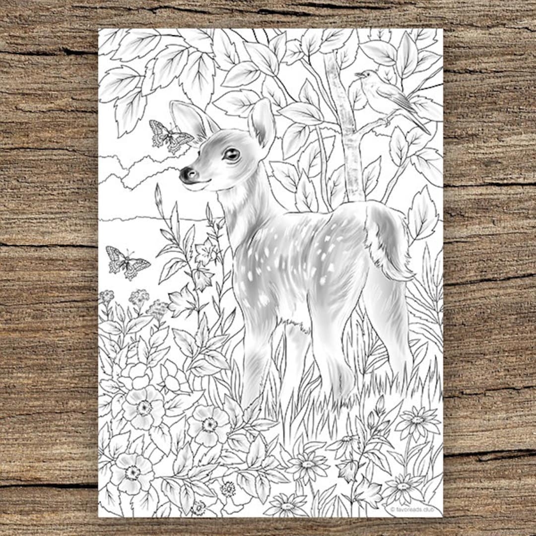 Baby Deer Printable Adult Coloring Page From Favoreads Coloring Book Pages For Adults And Kids Coloring Sheets Coloring Designs Etsy