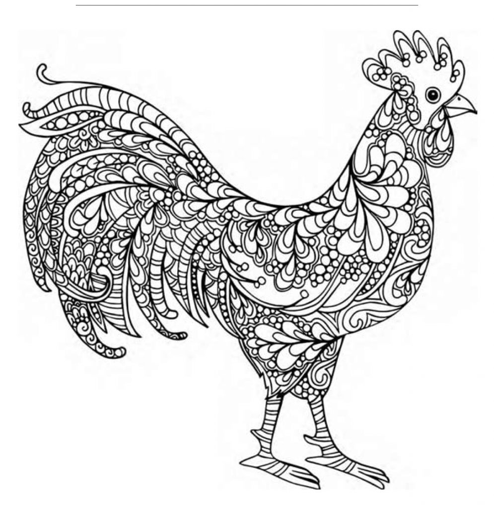 Backyard Poultry Coloring Pages 2018 Backyard Poultry Backyard Poultry Coloring Pages 2018 Backyard Poultry