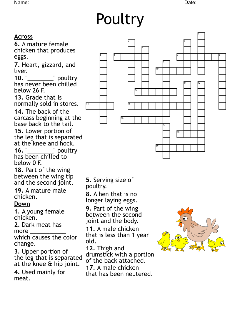 Ballet Terms Crossword WordMint Ballet Terms Crossword WordMint