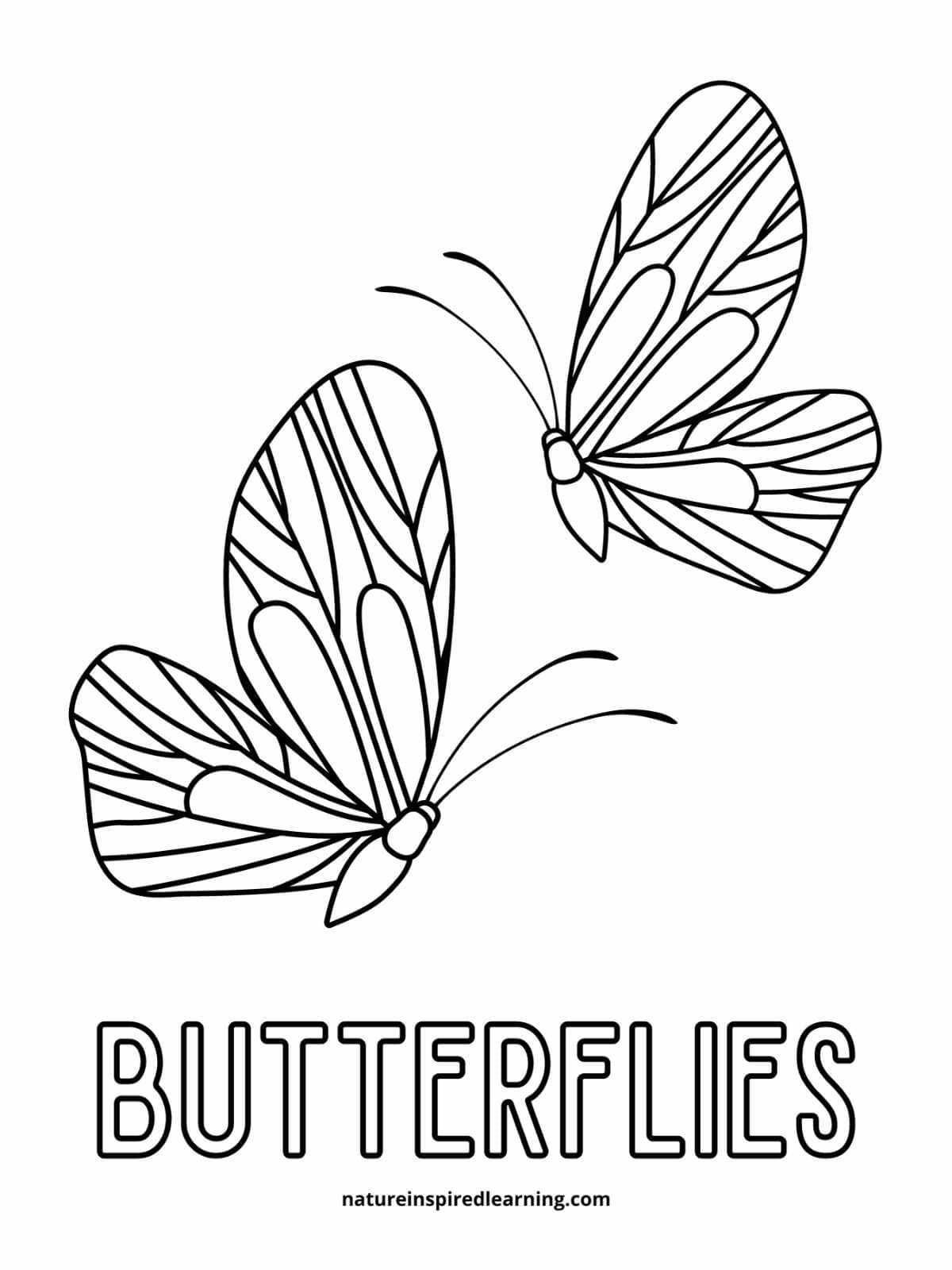 cute butterfly coloring pages