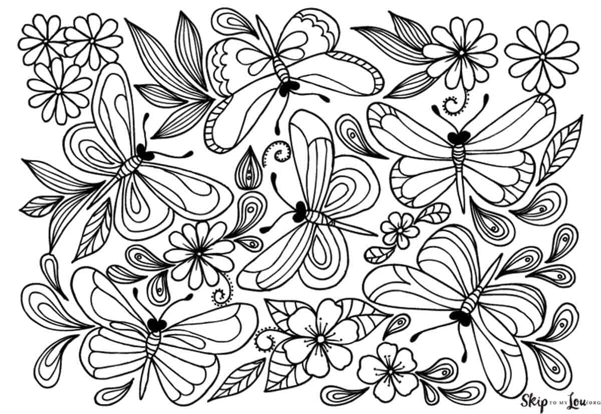 free butterfly coloring sheets