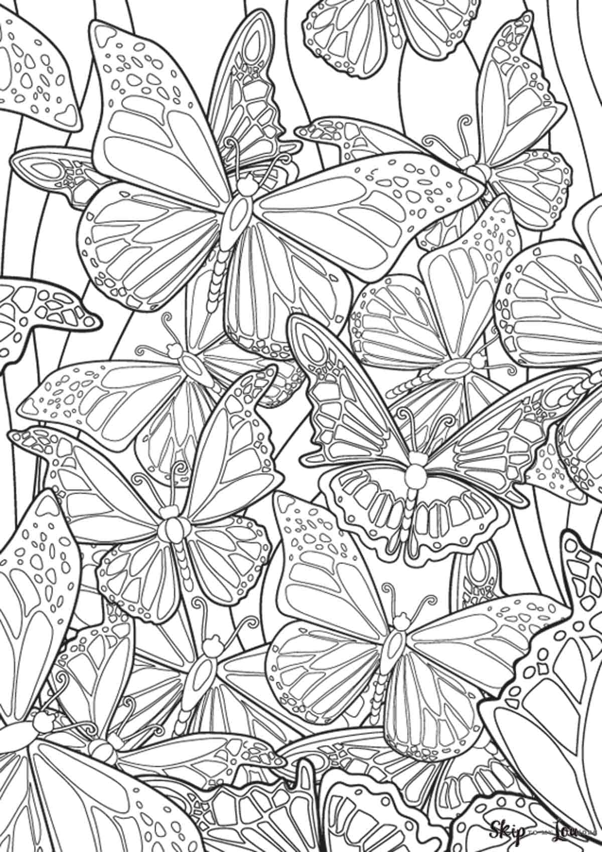 printable butterfly coloring sheets printable butterfly coloring sheets
