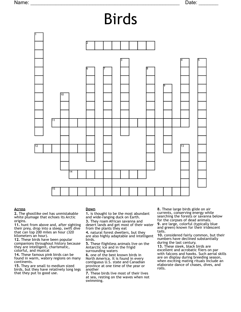 flightless bird crossword puzzle clue