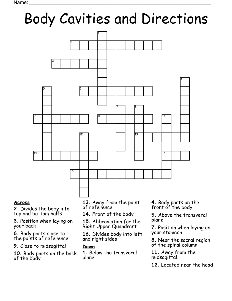 Body Cavities And Directions Crossword WordMint Body Cavities And Directions Crossword WordMint