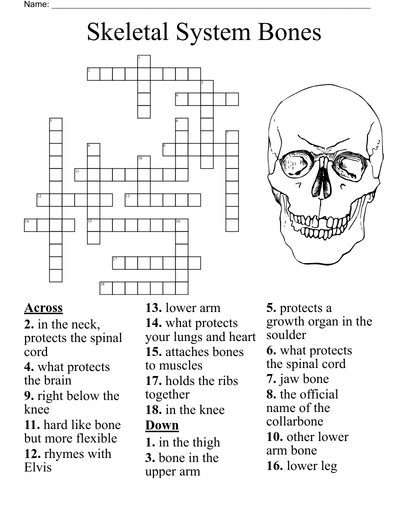 BONES Crossword WordMint BONES Crossword WordMint