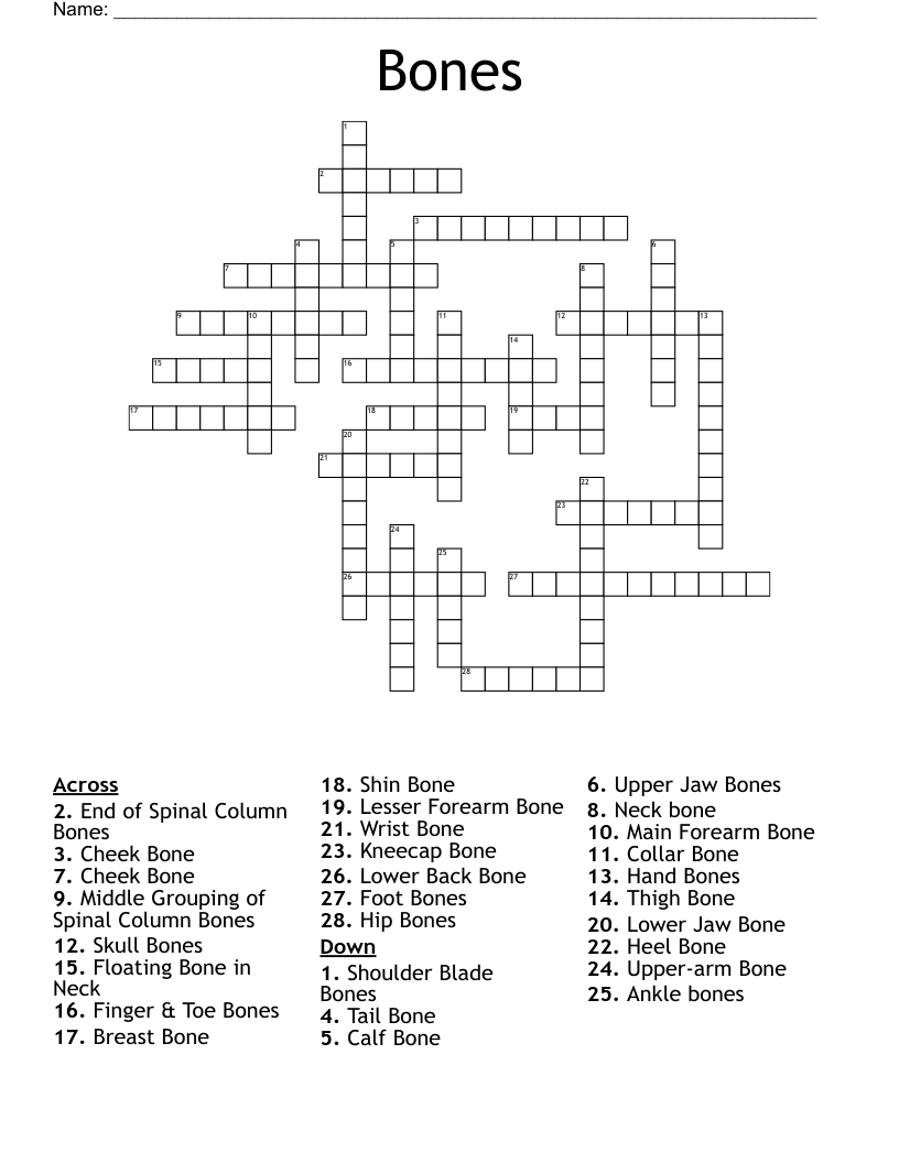 Bones Crossword WordMint Bones Crossword WordMint