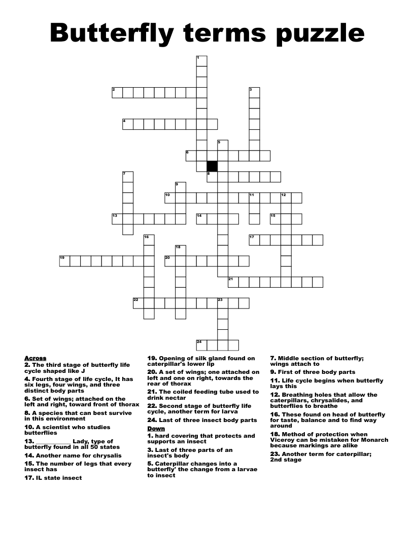 Butterfly Terms Puzzle Crossword WordMint