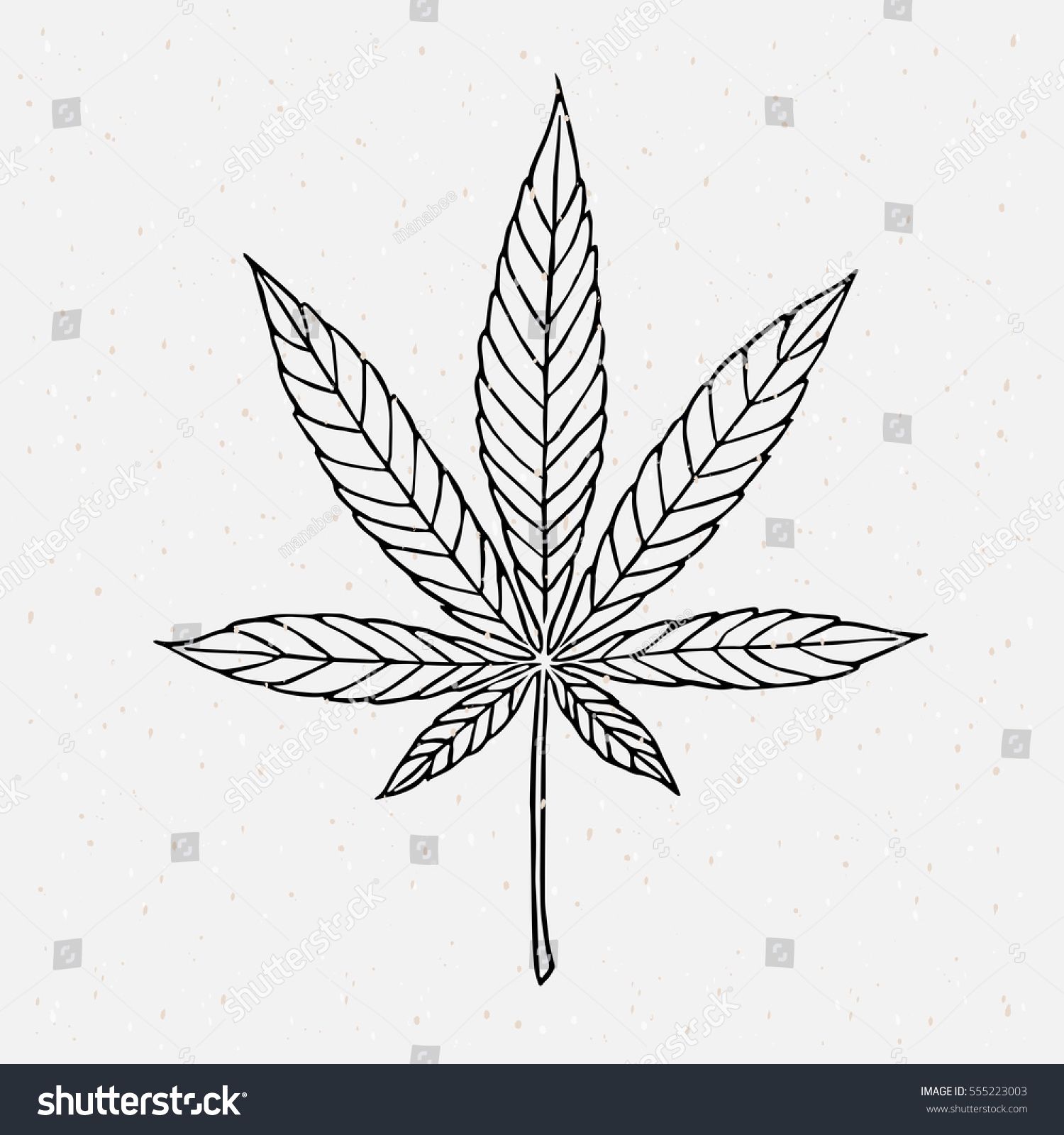 Cannabis Outline Stock Vector Royalty Free 555223003 Shutterstock