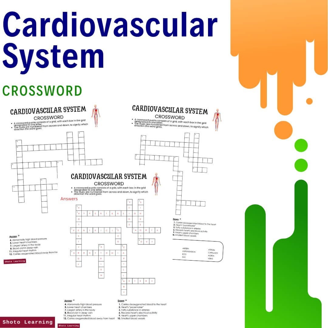 Cardiovascular System Word Find Fun Science Activity Cardiovascular System Word Find Fun Science Activity