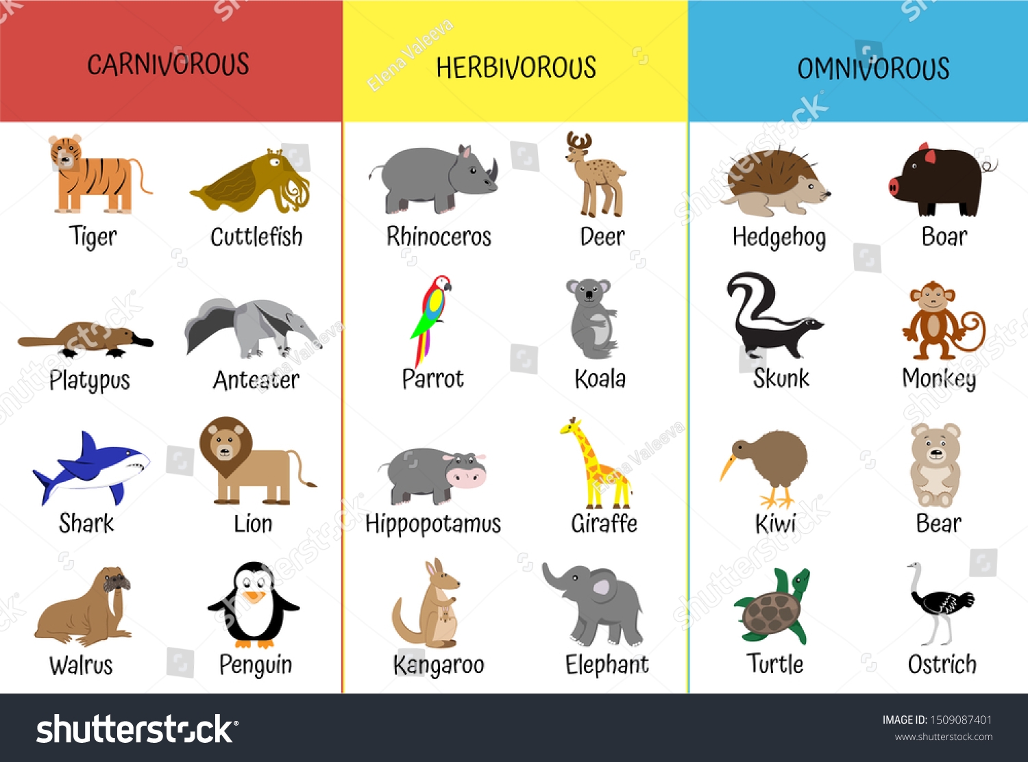 herbivores and carnivores and omnivores
