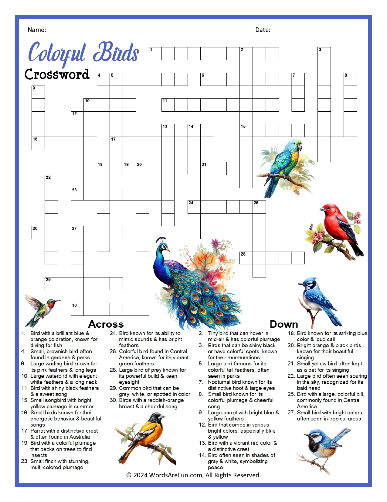 sea bird crossword clue