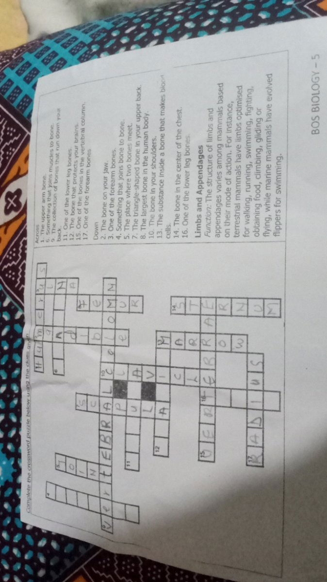 Complete The Crossword Puzzle Below Using The Clues Given Across The Up Complete The Crossword Puzzle Below Using The Clues Given Across The Up