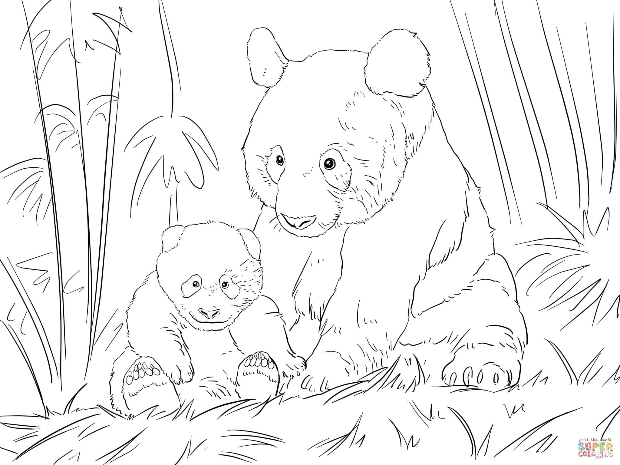 giant panda colouring pages giant panda colouring pages