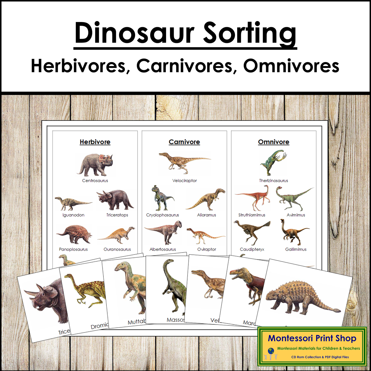 Dinosaur Sorting Herbivores Carnivores Omnivores Made By Teachers