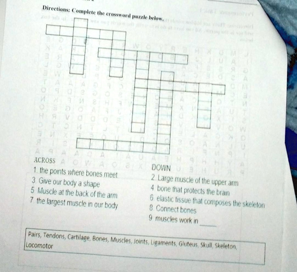 arm bone crossword clue arm bone crossword clue