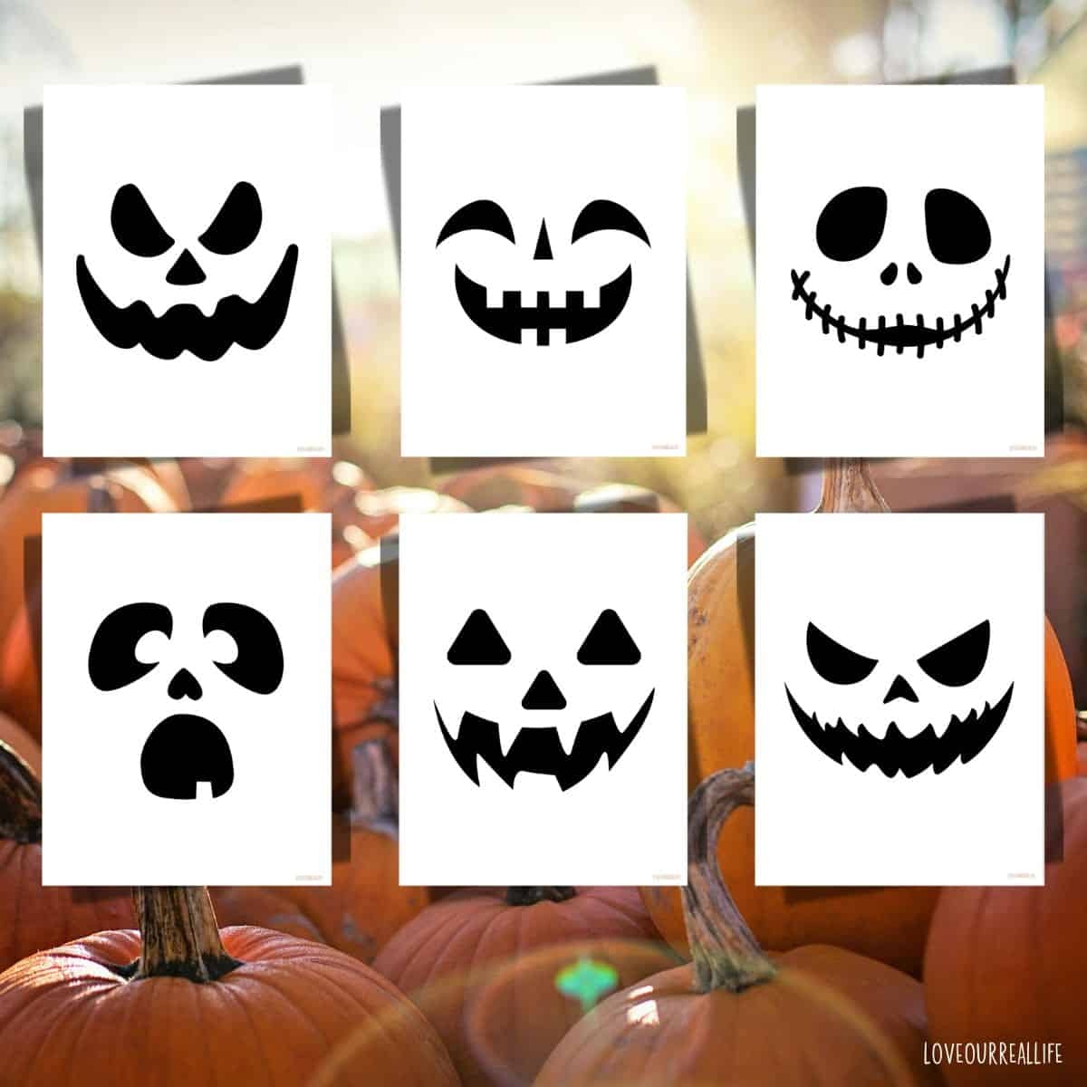 Easy Pumpkin Carving Stencils Free Jack O Lantern Faces To Download Love Our Real Life