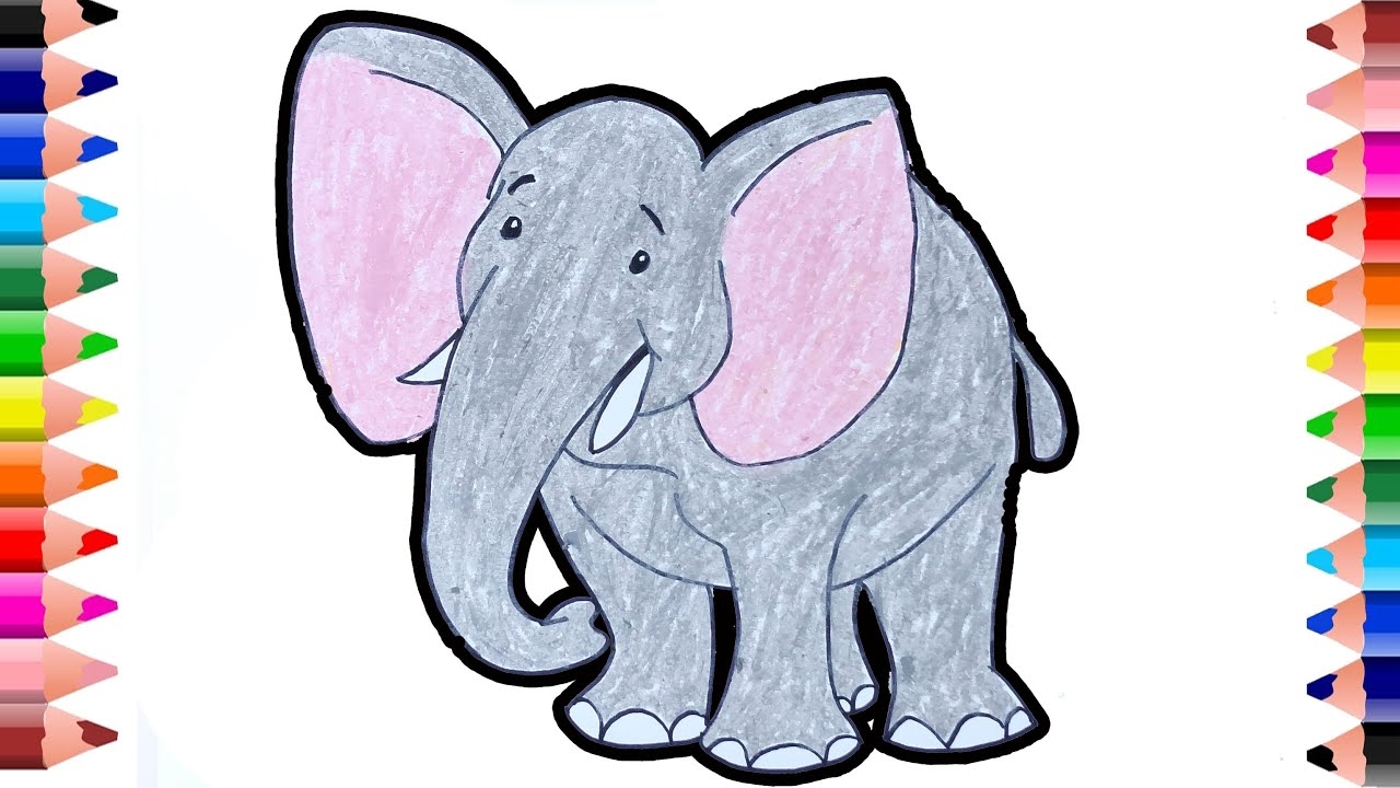 Elephant Drawing Easy How To Draw And Color Elephant Elephant Coloring For Kids YouTube