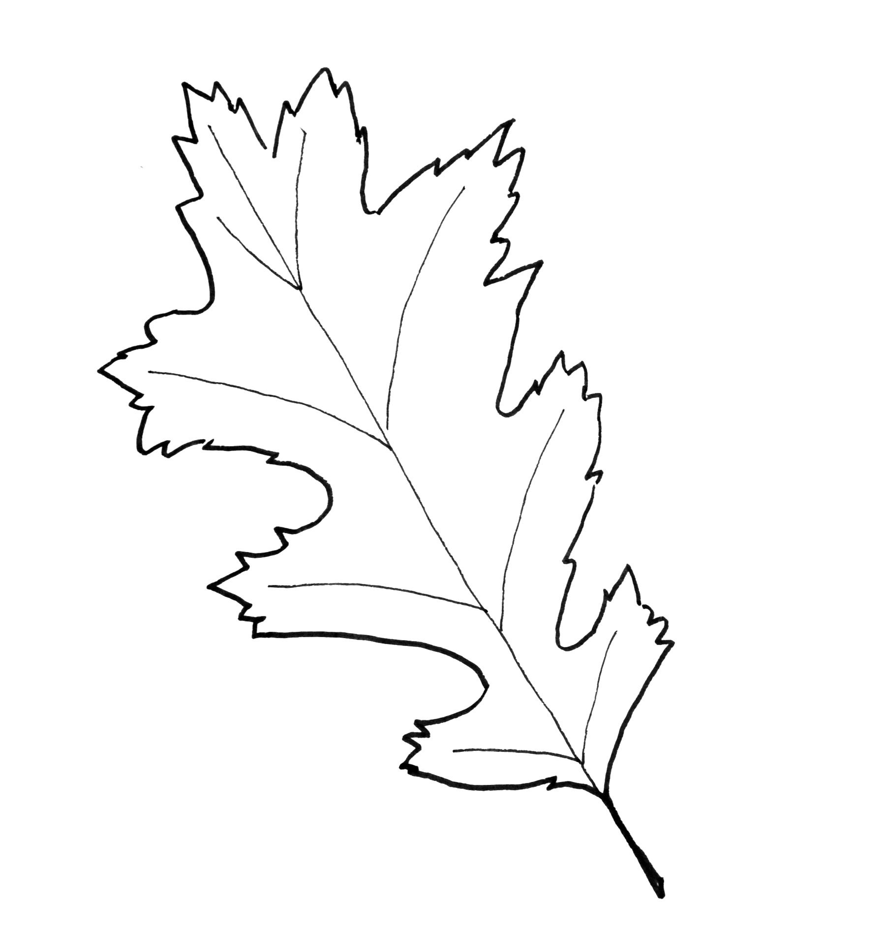 Fall Leaf Pattern Printables Just Paint It Blog Fall Leaf Pattern Printables Just Paint It Blog