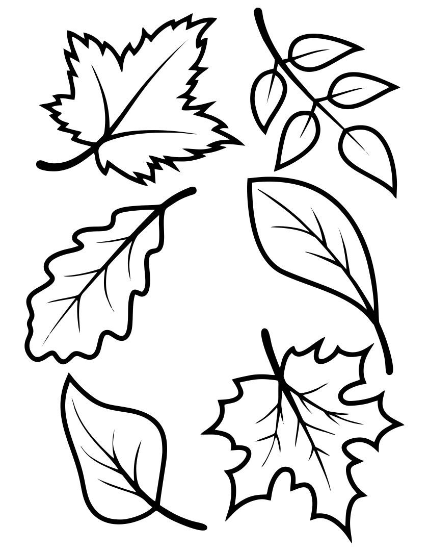 Fall Leaves Templates 10 Free PDF Printables Printablee