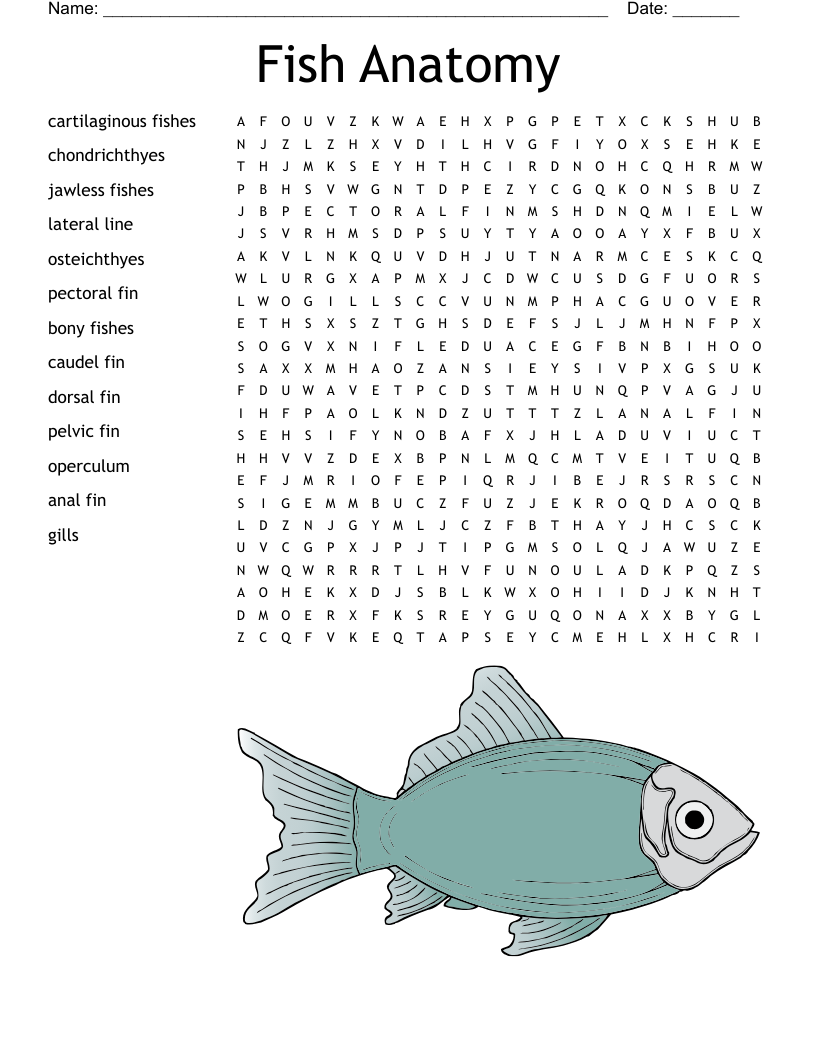 Fish And Amphibians Crossword WordMint Fish And Amphibians Crossword WordMint