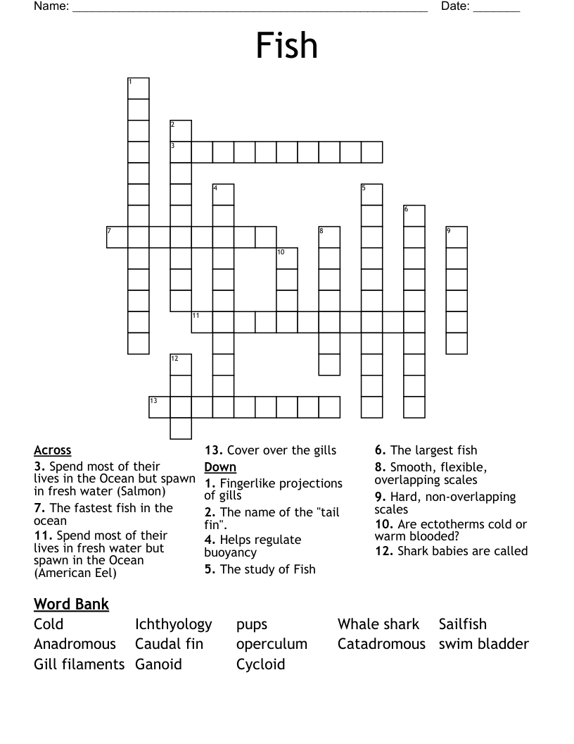young eel crossword clue