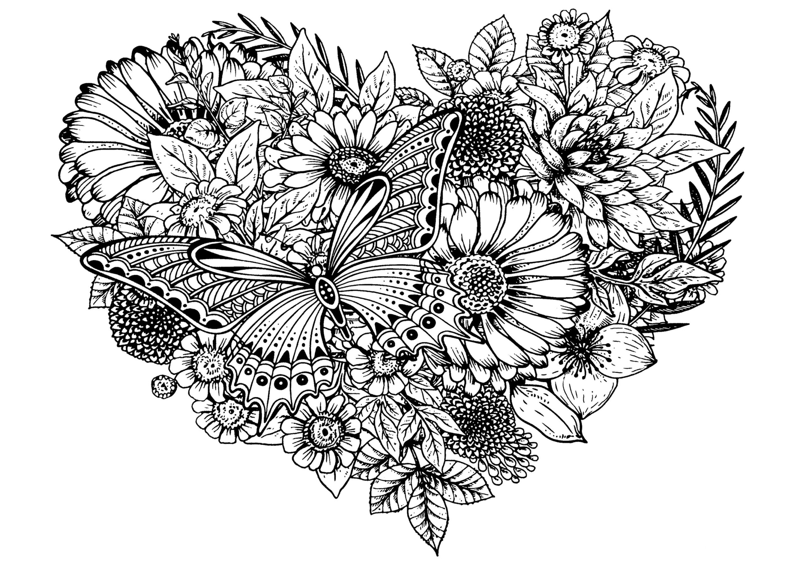 flowers butterflies coloring pages flowers butterflies coloring pages