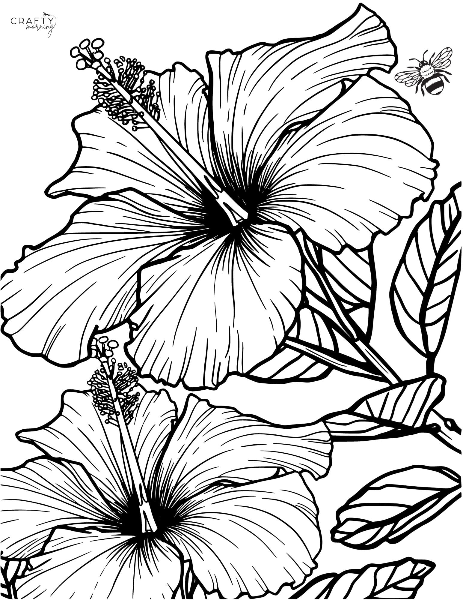 Flower Coloring Pages To Print Crafty Morning