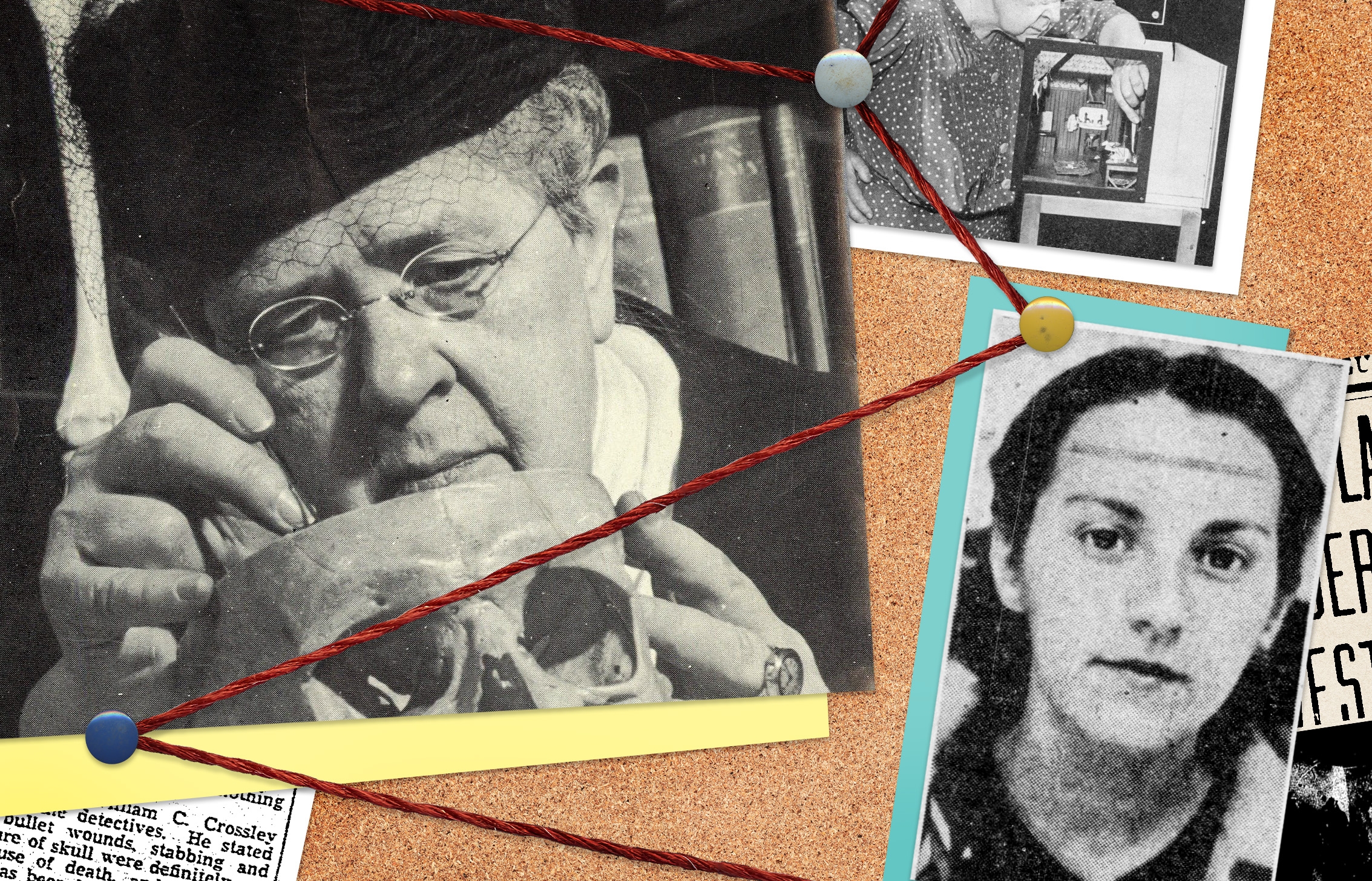 director lee crossword clue director lee crossword clue