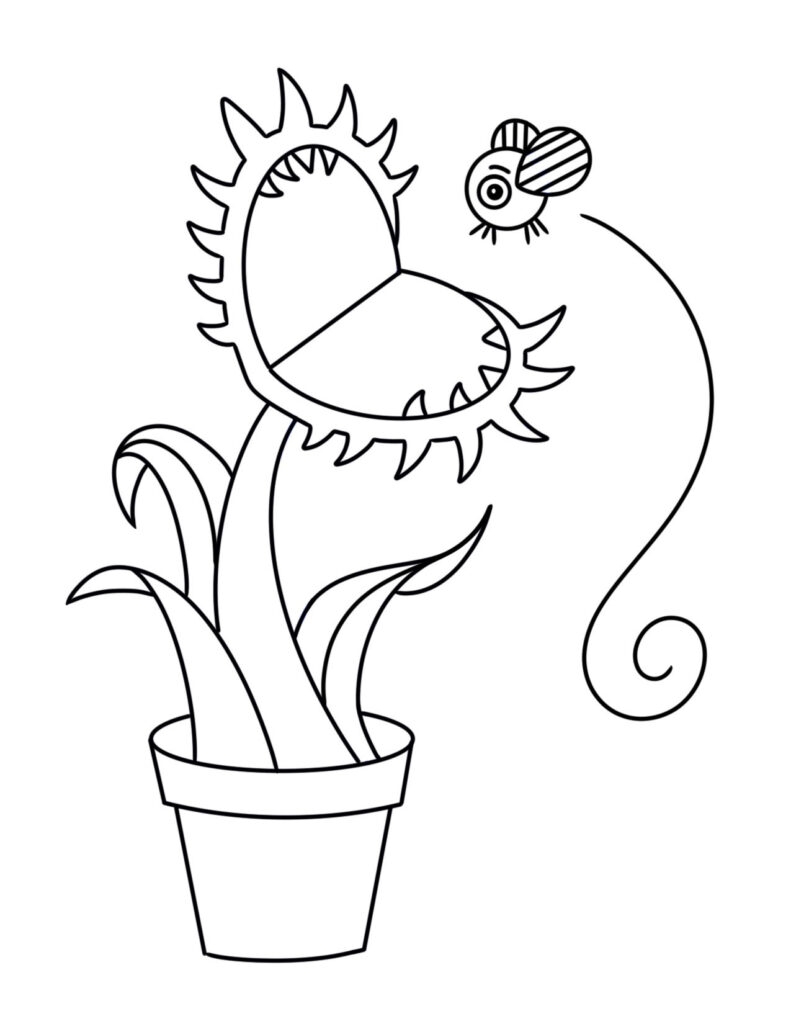 Free Plant Coloring Pages The Hollydog Blog