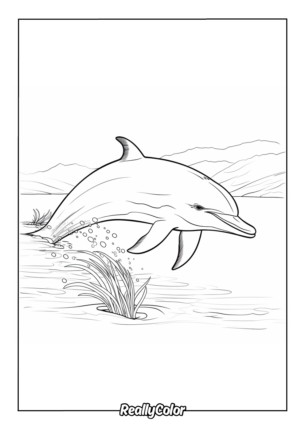 Free Printable Dolphin Coloring Pages Free Printable Dolphin Coloring Pages