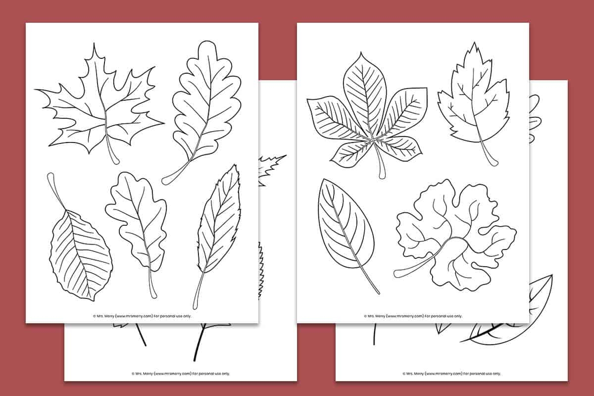Free Printable Fall Leaves Coloring Pages Mrs Merry Free Printable Fall Leaves Coloring Pages Mrs Merry
