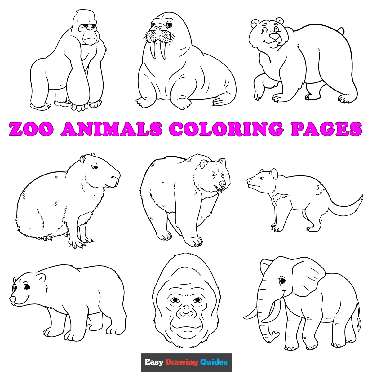 colouring pages zoo animals colouring pages zoo animals