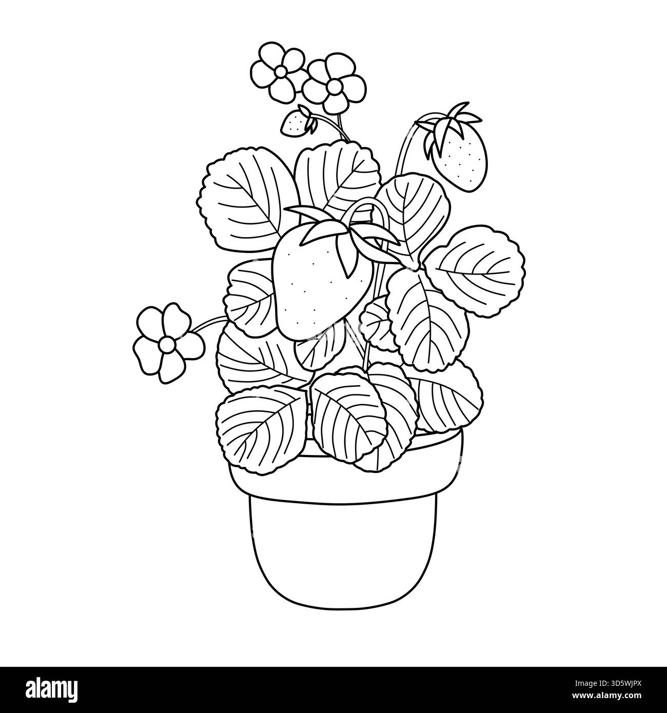 Fruit Coloring Pages Printable Stock Vector Images Alamy